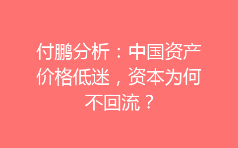 付鹏分析：中国资产价格低迷，资本为何不回流？-齐朵屋